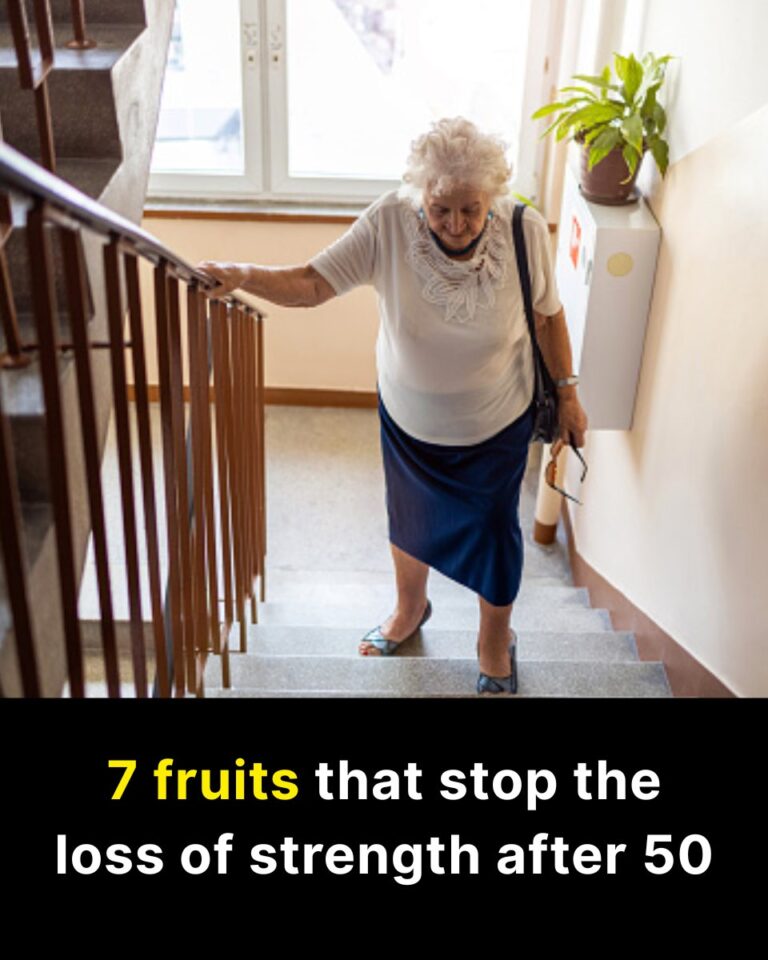 561539476_122243607152157339_9098526963942945024_n