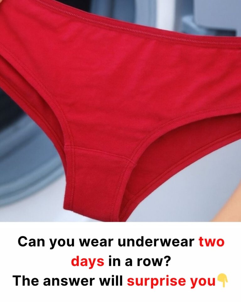 564530357_122243216936157339_8905250702965545796_n