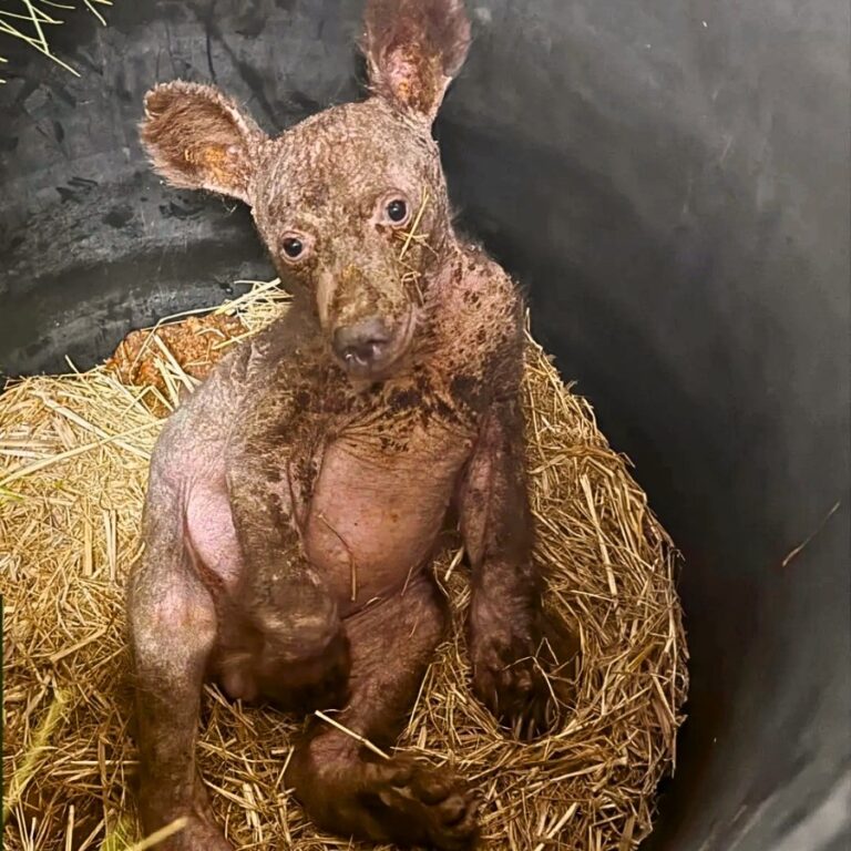 564616703_122152518884672293_3798185204773135019_n