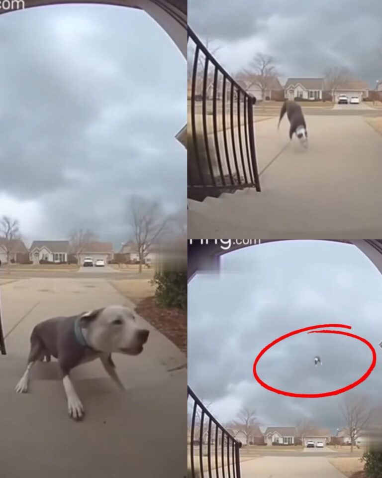 567873481_842142744996504_1384554519640142718_n