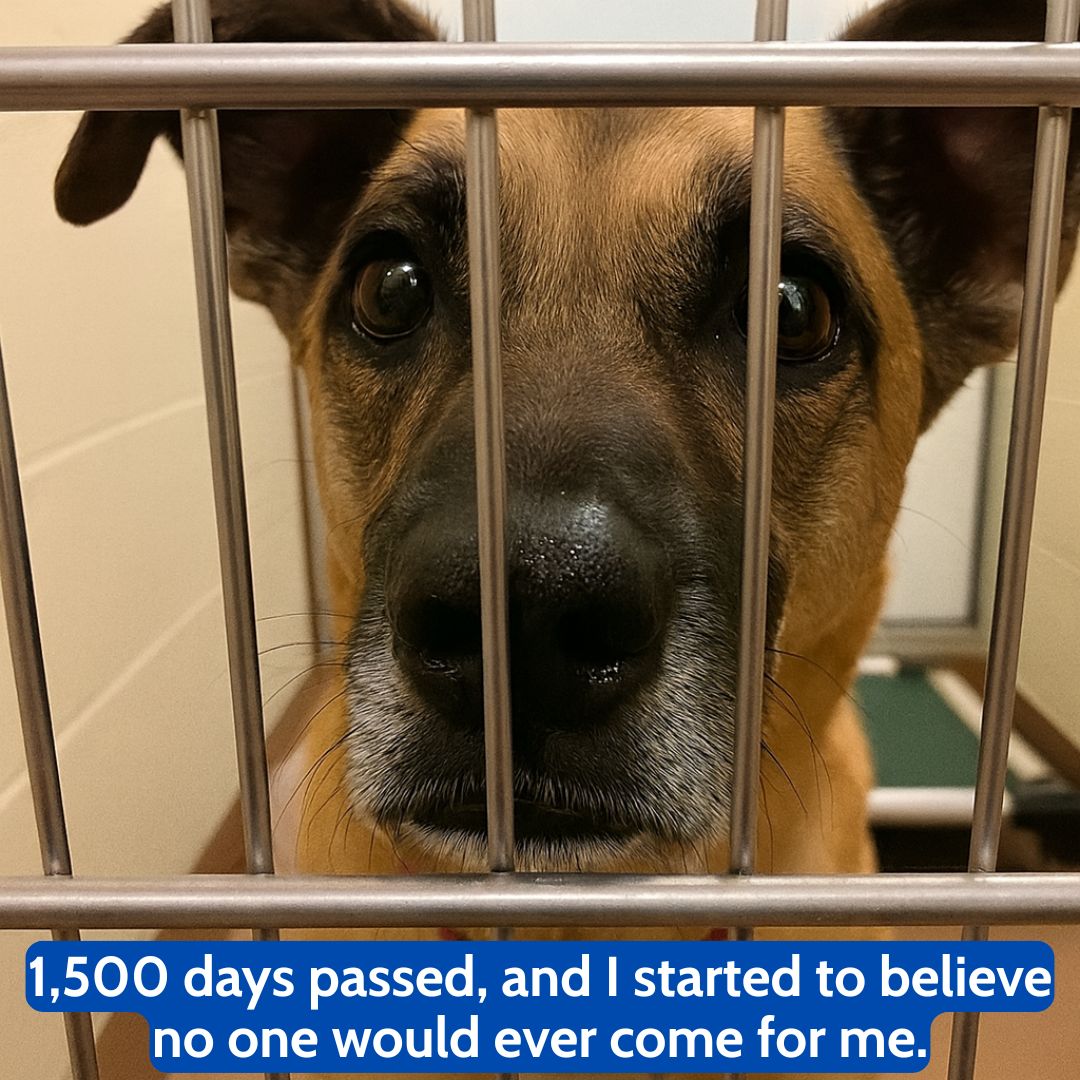 571135642_122153291360672293_3942244721697743552_n