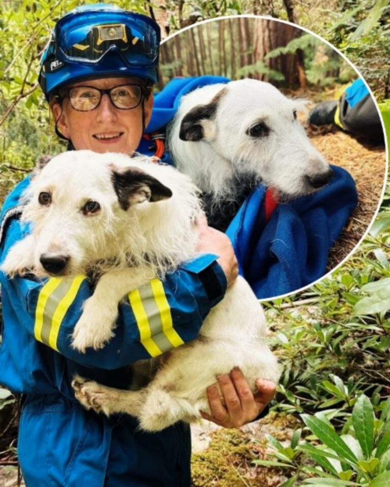 571260554_843049101572535_8625059546545866405_n