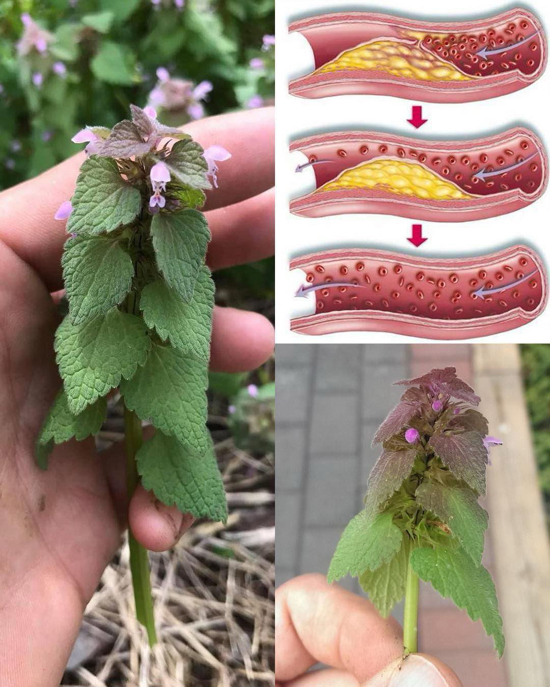 572146336_122245449416157339_5665214714260435247_n