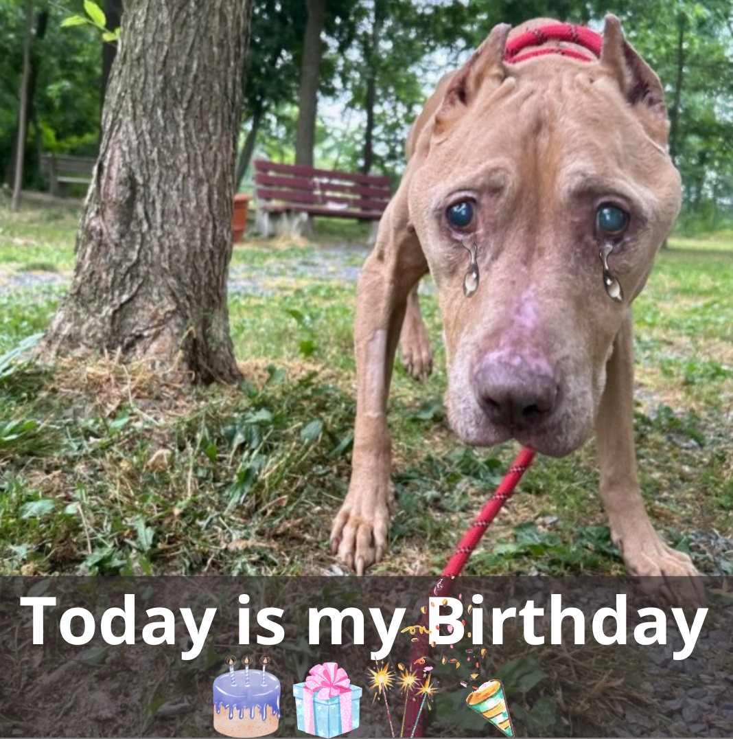 572804219_122184808958382569_5475692175659292679_n