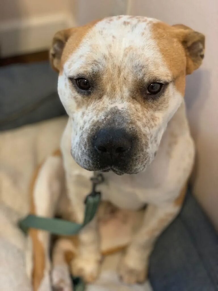 574853574_122154080216672293_3613389671284159365_n