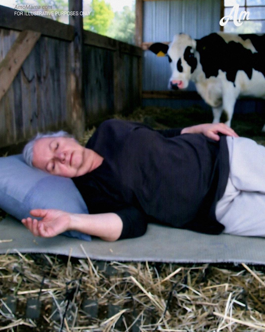 576203831_812804611732187_2351704406973682436_n