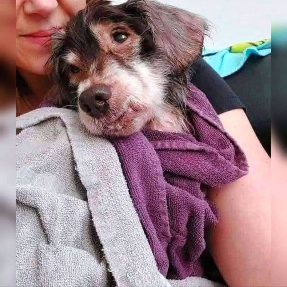 576988884_122154574766672293_5155296358550297842_n