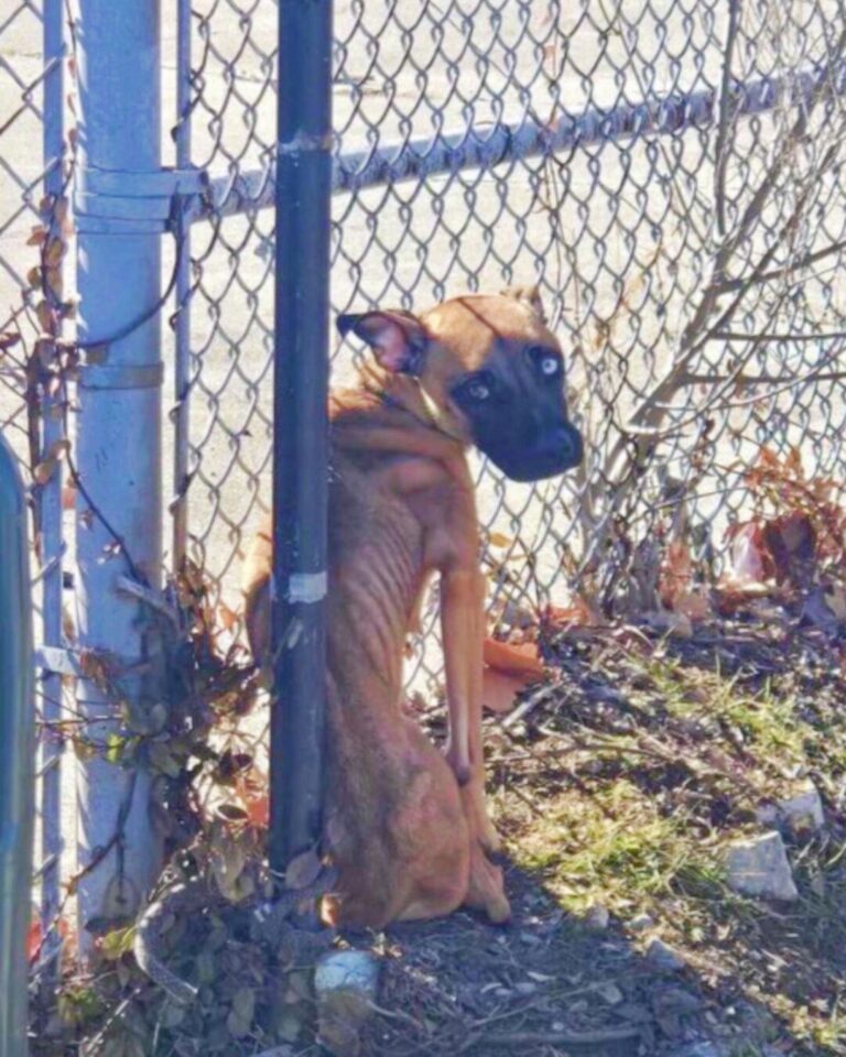 577000735_122154466454672293_2285797295739048508_n