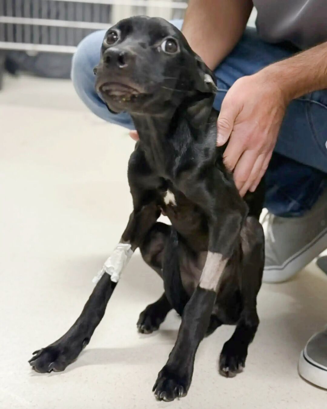 578405818_122154716300672293_8730355303584565163_n