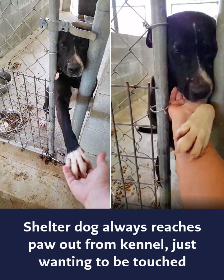 579507524_122154988106672293_5733972192047789426_n