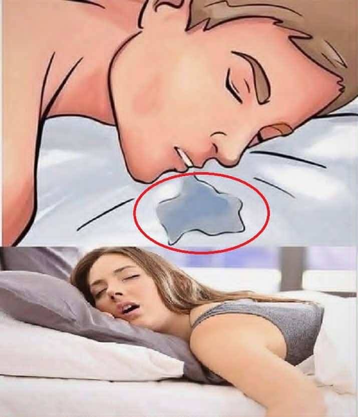 584063634_122162636690784574_7386202059116423605_n