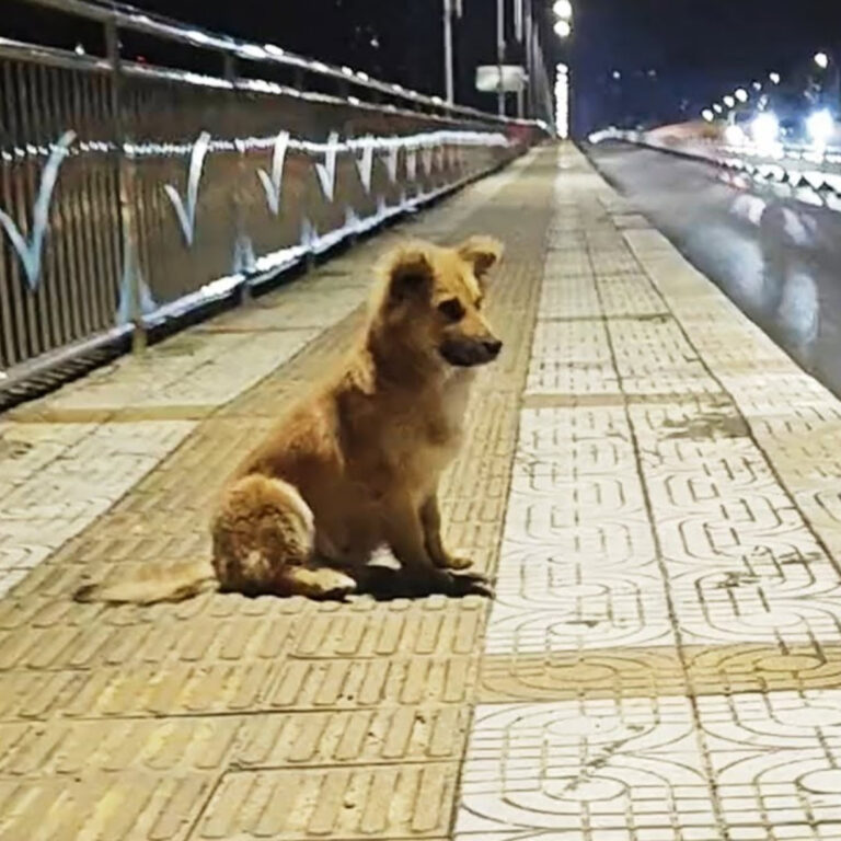 584433227_122155411994672293_9117431939262097486_n (1)