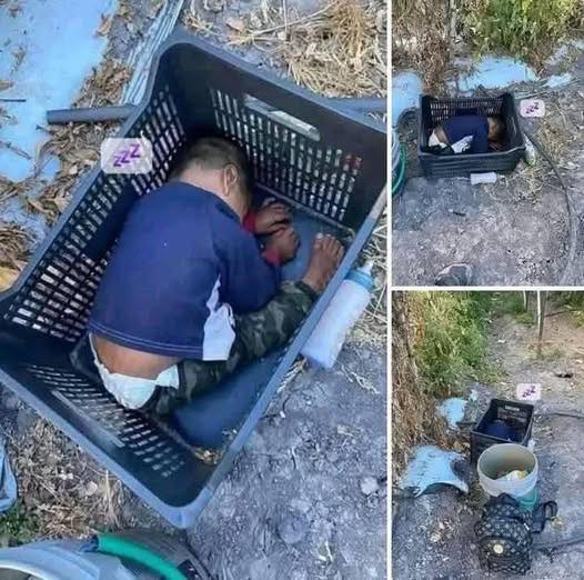 584441078_122163335114784574_9076460774052334039_n