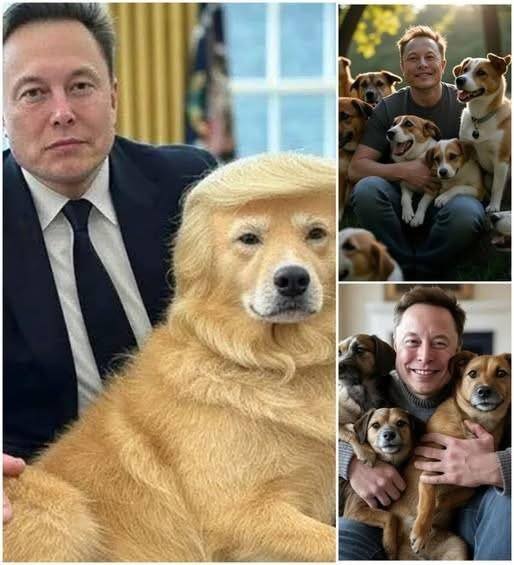 585398512_122163028304784574_2497274984953922743_n