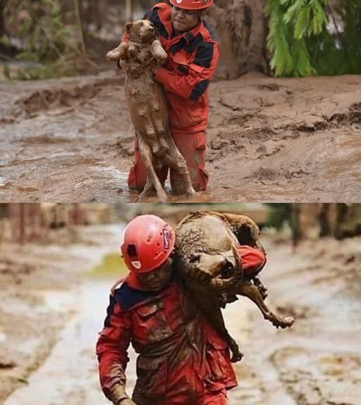 585404713_122290639634028434_8244365542924675796_n