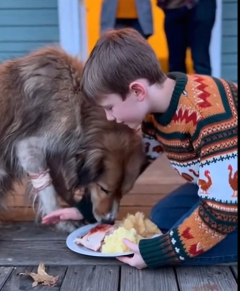 screenshot_1764250237