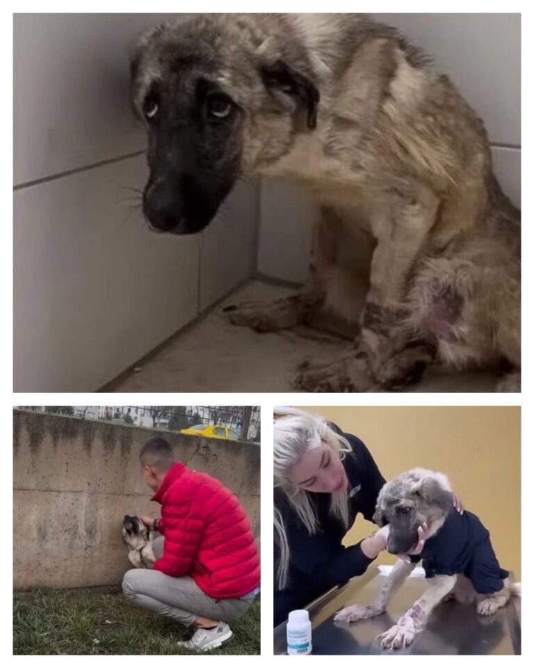 593467135_122156824616672293_4303495350832904729_n