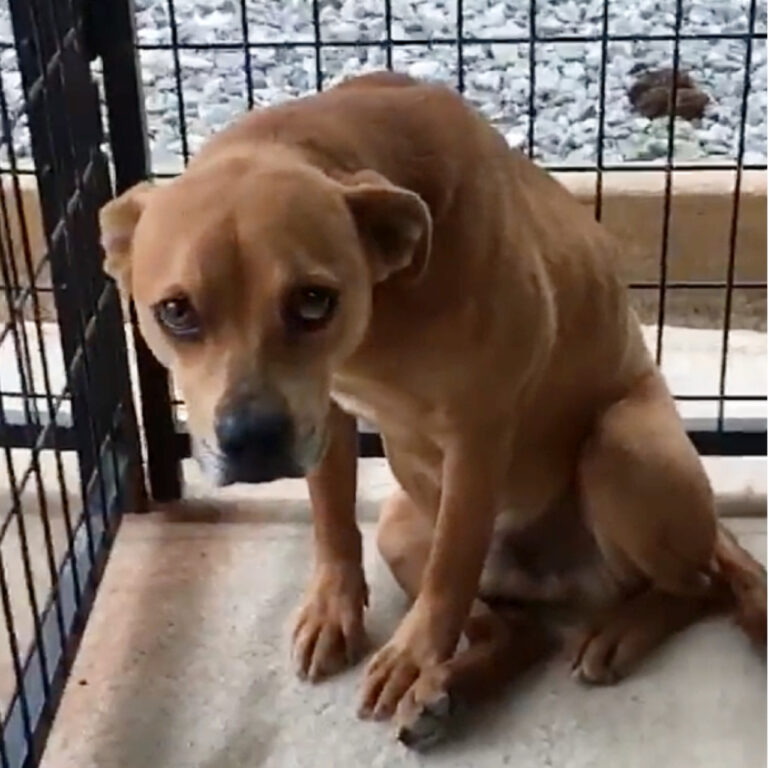 594051188_851202941098869_3495640864222428719_n