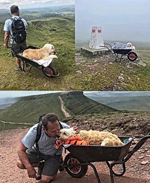 597813883_122157490640672293_8266498474921293825_n