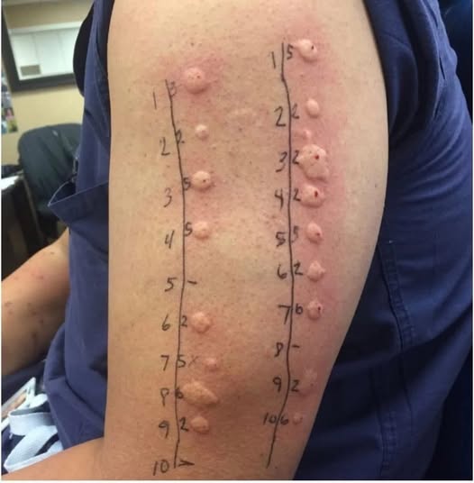 597851555_1174275631567242_2856087583375856093_n