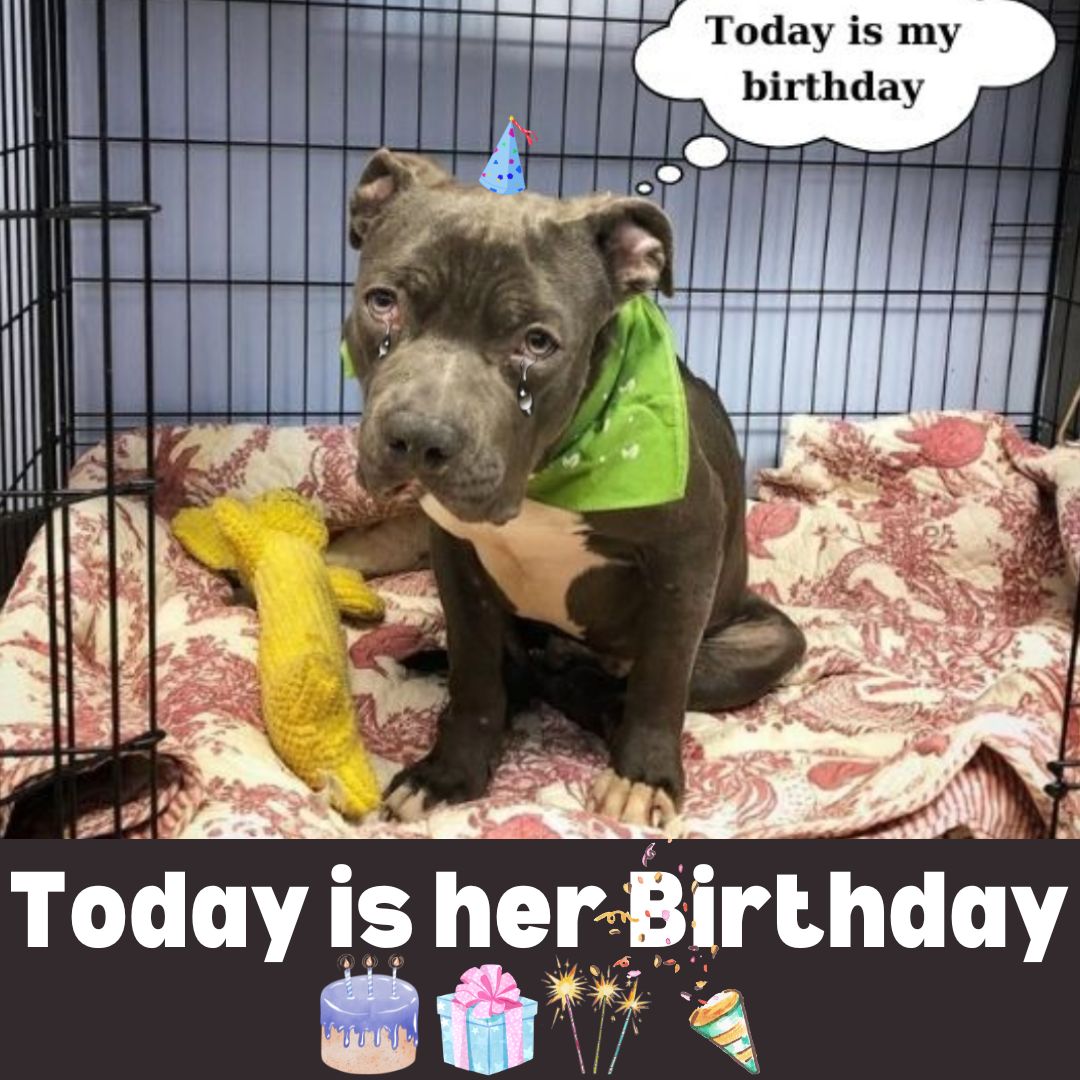 598705196_122190046796382569_8727518005122726277_n