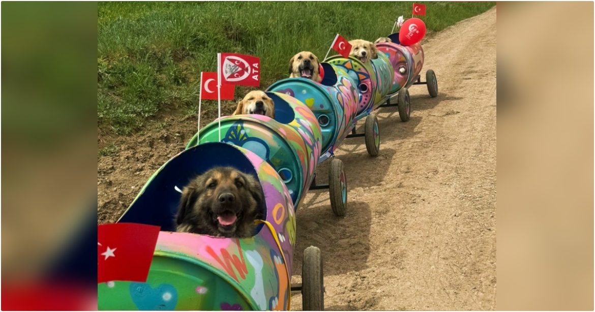 598801580_122157739202672293_3560133609042113289_n