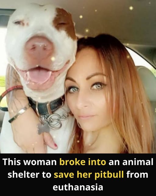 602285189_122158164968672293_6120010694251552451_n