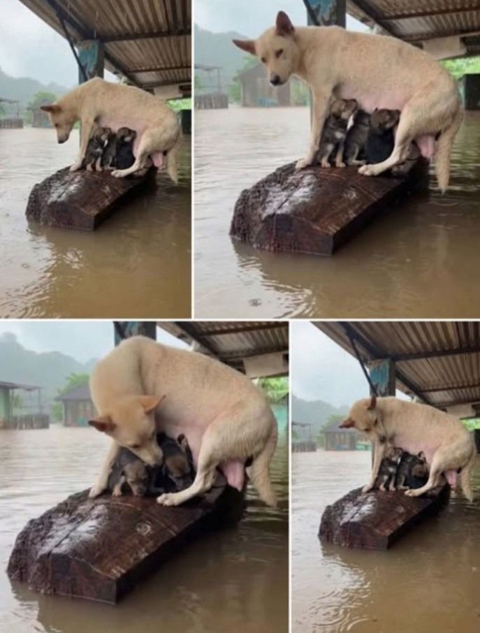 605617098_122162825168750809_6023018827342891062_n