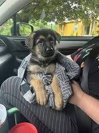 606899769_122158745588774120_8321512128593419211_n