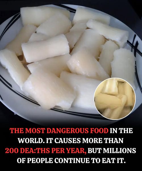 607653565_904450558928852_7268658646136458000_n