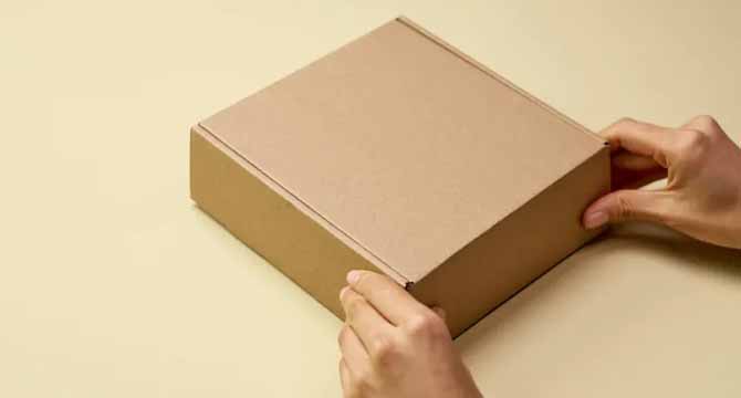 607653565_904450558928852_7268658646136458000_n