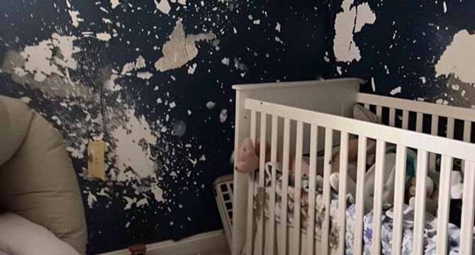 605708003_857934210552560_1346643935548905702_n