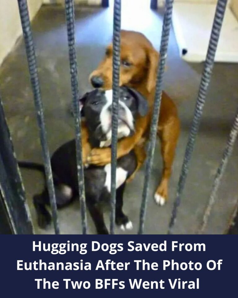 608043769_858593300486651_8340356345701945339_n