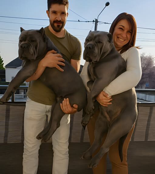 608285911_1305002155001548_8379733186133192264_n