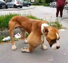 608966116_122159212490672293_4431201933010125566_n