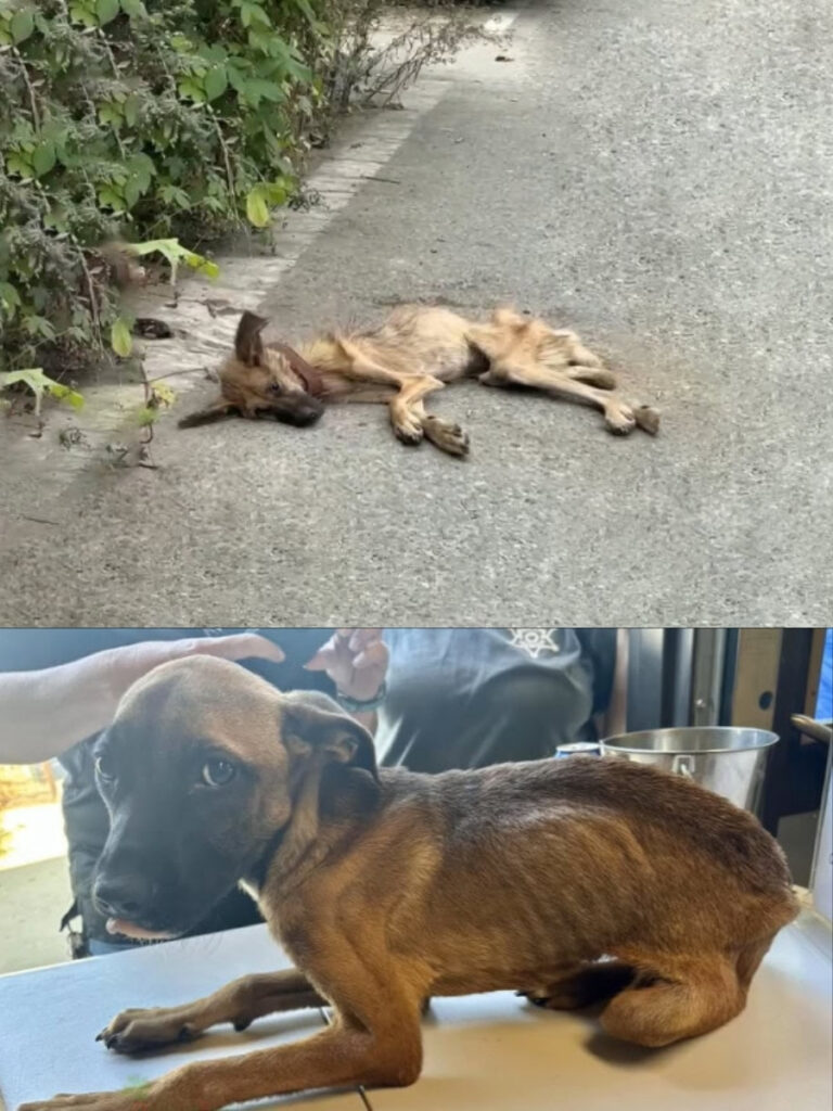 611952094_872030798883880_2672905384569837972_n