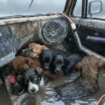 612020928_122159950328672293_5723963754433610212_n