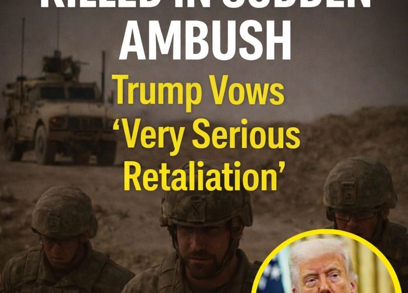 612130191_122169253628782082_712540893181195215_n