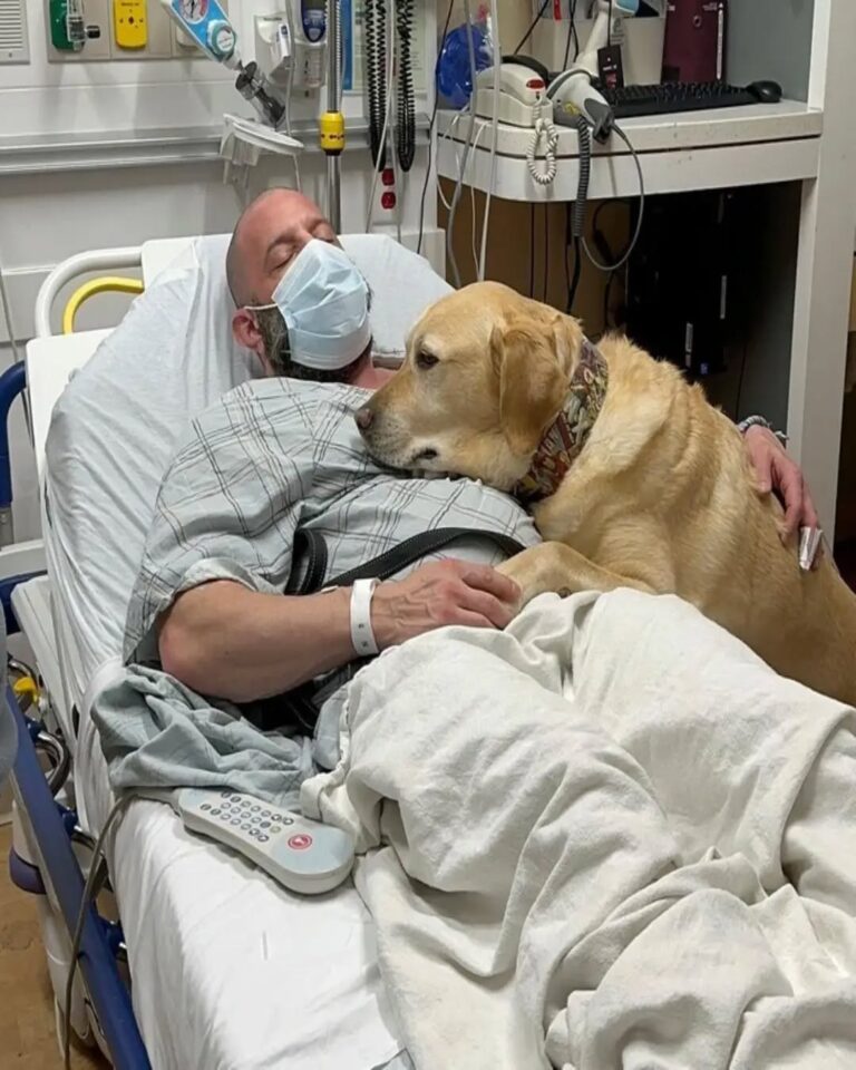 615827659_122160227612672293_3005852693474972948_n