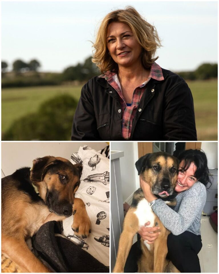 616617317_122233214648057004_7188588921714081604_n