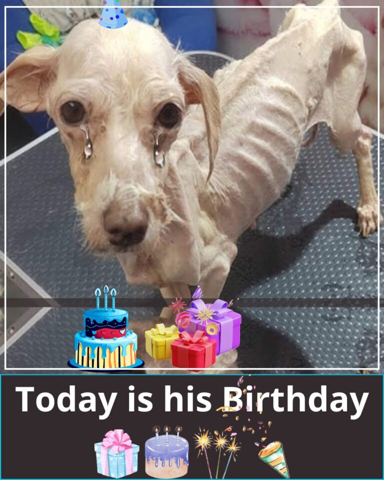 617627025_897103389677527_1646047345752078572_n (1)