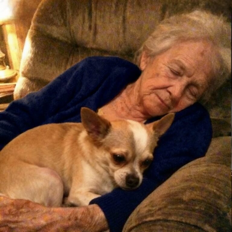 618472066_122161121654672293_5212011355242263181_n