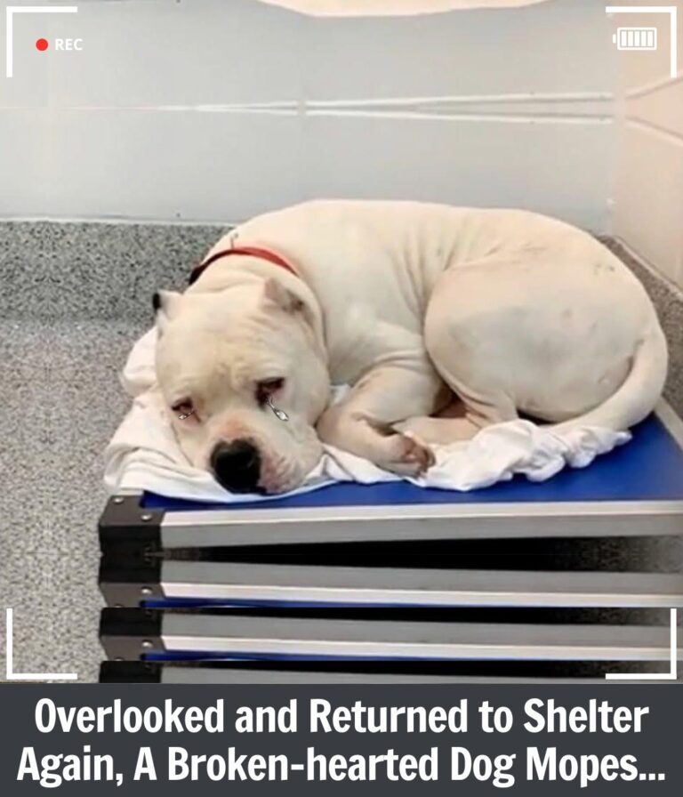 619265375_897896239598242_2925774344137156608_n