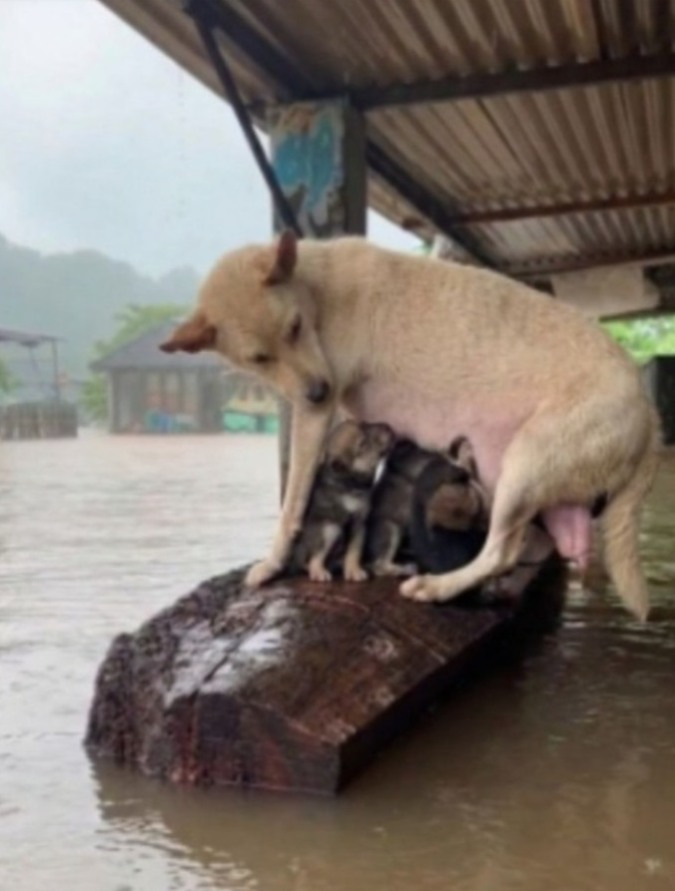 619500861_899412062779993_6196785283957989359_n