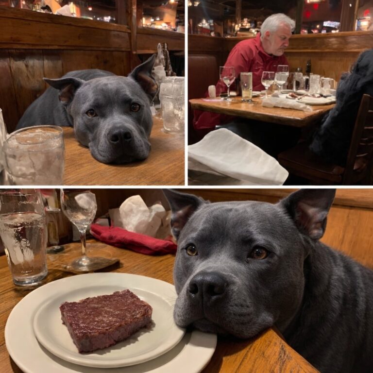 620055814_1316026957232401_2948057112051284865_n