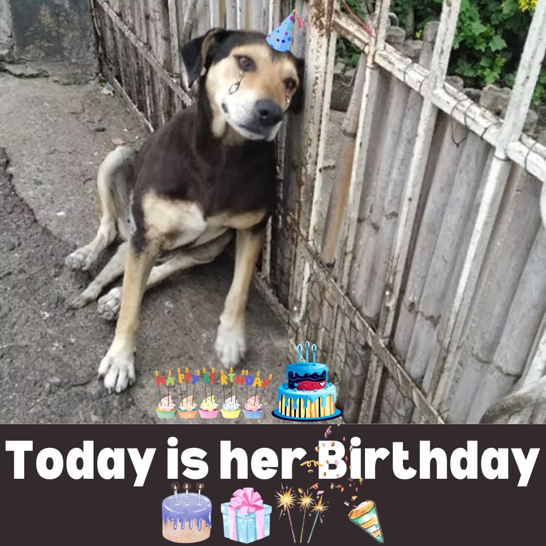 622368080_122194542296382569_4100570203885445938_n