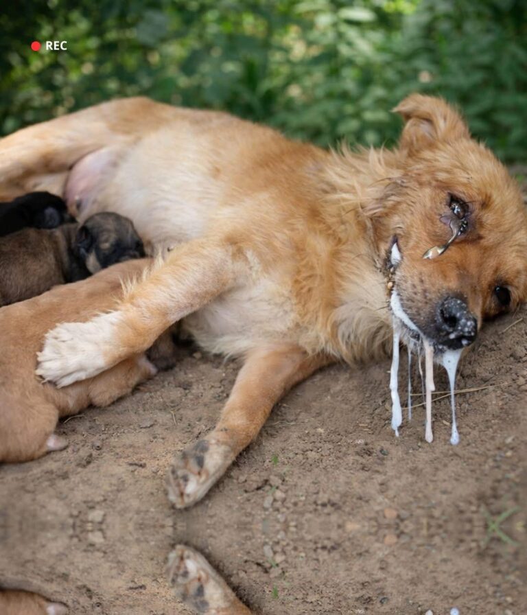 622834337_122171261144784574_2906175936576451485_n