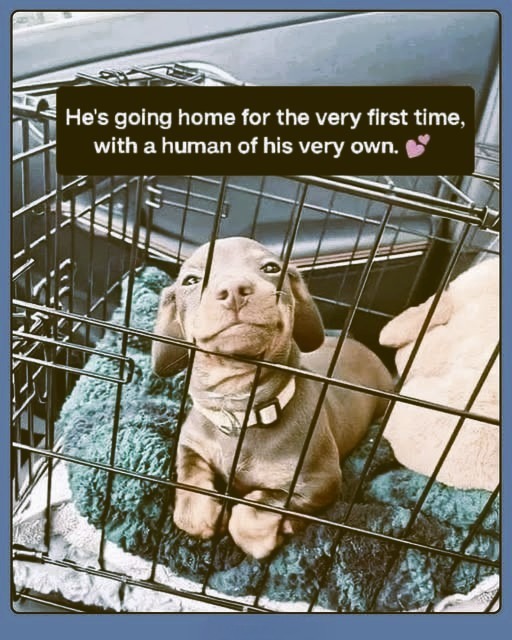 623086657_122161594286914673_6240529779371128700_n