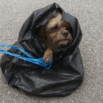 623278887_122161552154914673_3221006795302398640_n