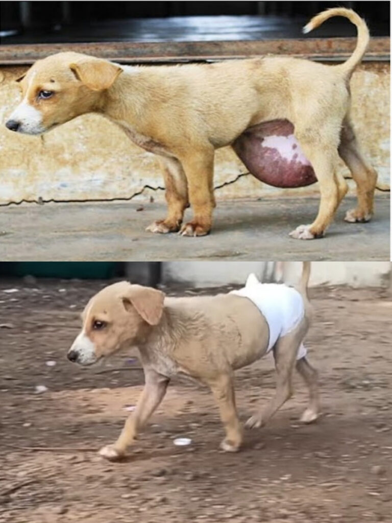 624711746_122161349984672293_7006133038108987020_n